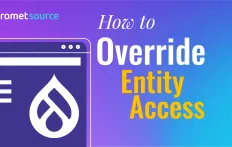 How to Override Entity Access Handler in Drupal