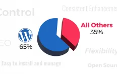 WordPress stats and popularity factors